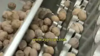 large walnut peeling machines - walnut shelling machine and walnut peeling machine manufacturer