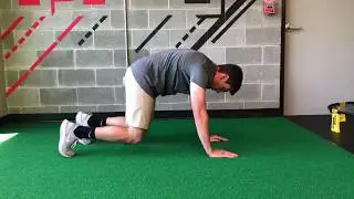 All 4s Bear Hold - Rehab 2 Perform