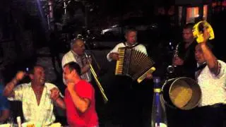 Нова жучка 29.08.2015