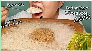 EATING RAW MIXED RICE| In A Bowl|Request Vedio|ASMR SOUND|SOUND of Crunchiness @Joylorna8