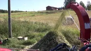 FARMI 180 HF - Processing fresh willow (HD)