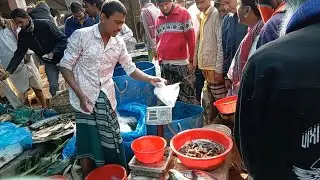 Busy Friday Fish Market | Fresh Fish Selling on Roadside | Bangladesh