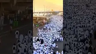 #iphone #funny #moavia #mrbeast #bahrian #beautiful #eidspacial #cow #neweid #bahriatow