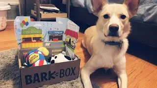 August 2020 Barkbox Unboxing