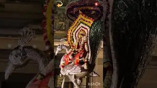 #Vaikasi Visakam 2024 # muruga #tanil god ⭐️