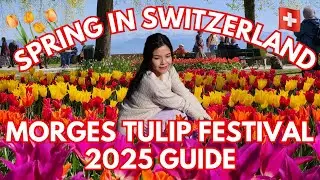 MORGES TULIP FESTIVAL 2025: Most beautiful Spring event in Switzerland (F&ecirc;te de la Tulipe)