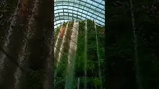 Cloud Forest Singapore
