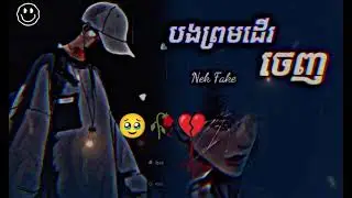 bro Tan - បងព្រមដេីរ ចេញ 🥹💔 / បទសេដ / Nek FaKe