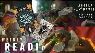 Red Foot Tortoise, Dead Ghosts, and Dead Monarch | Weekly READING VLOG #6