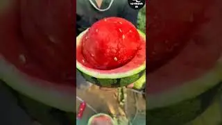 Farm fresh ninja fruit cutti_shortsng _5 _ Ly Chynh St