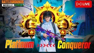 DAY #6  PLATINUM TO CONQUEROR RANK PUSH ? iQOO NEO 10 GAMING PERFORMENCE  #bgmi #livestreaming #live