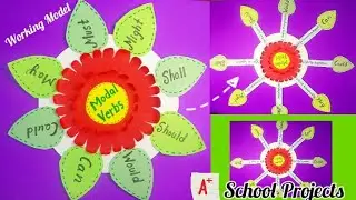 Working Model on Verbs | English Grammar || Verb Model Project || Modal Verbs ,TLM