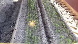 Автономная лазерная прополка Carbon Robotics для интеллектуального выращивания культур