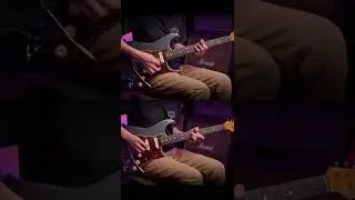 Ron Ellis vs Seymour Duncan - Which do YOU prefer?