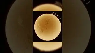 Solar activity November 2024.