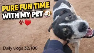 Pure fun time with my dog 🐕