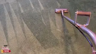 Carpet Cleaning in Anaheim, California