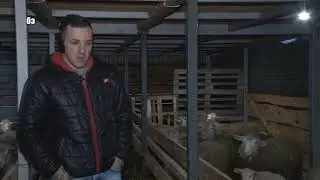 Ovčarnik od metala i drveta – za 5.000 evra, bez plaćanja poreza na njega