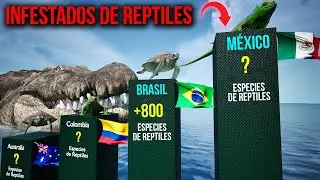 LOS PAÍSES CON MÁS REPTILES DEL MUNDO - Te sorprenderá el #1