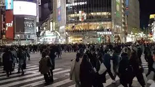 Shibuya