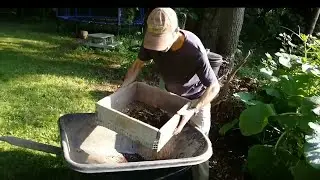 Harvesting and Using Compost