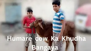 Hum Ne Apni Cow Ka Khudha Banwa Liya | Emotional & Special Vlog