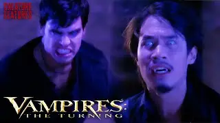 Fledgling Takes On A Vampire Warlord | Vampires: The Turning | Creature Features