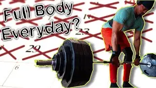 Can you do a full body workout everyday?