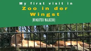 Zoo in der Wingst (Wingster WaldZoo)