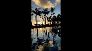 Wsp everyone | road to 425 subs