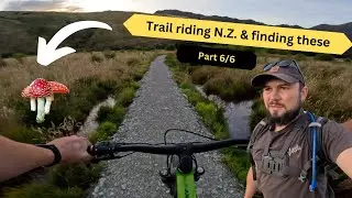 Part 6 // Exploring New Zealands south island // Moke Lake loop