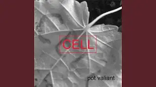 Cell