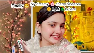 My dreamy 🌸 cherry blossom tree light finally I have purchased it 🧿🤘#bloosom #light 