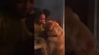Heroes Come in All Forms | A Golden Retriever&rsquo;s Bravest 9 Seconds #rescueefforts  #goldenretriever