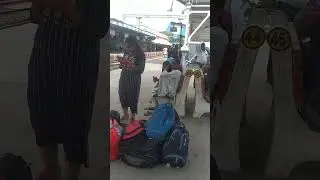 #sher ghumte#roorkee#viral#reel#shorts#movietuber