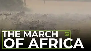 The Migration enters The Grumeti