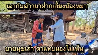 ลูกหลานจะพาไปไหม หาหมอ#มาดามเมืองโพธิ์ 