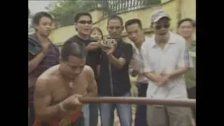 Kung Fu - Berlin | Master Trung&acute;s records [Nam Hong Son Dynastie]