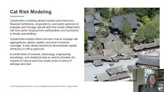 Panel 3: Catastrophe Risk Modeling