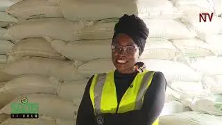 Boosting Uganda’s farming with fertilizers | SEEDS OF GOLD