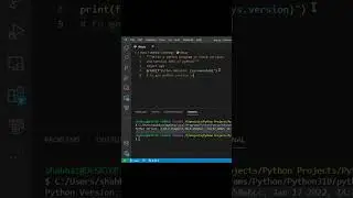 Python Tutorial: How to Find Your Python Version in One Line of Code!