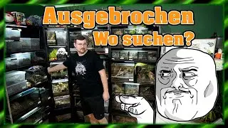 Mein Tier ist ausgebrochen - Wo suchen?