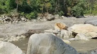 parvati valley kashaul❣️