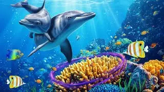 Coral Reef Aquarium 4K &ndash; Soothing Underwater World for Deep Relaxation