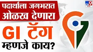 GI Tag म्हणजे काय? कसं मिळतं GI टॅगिंग?, महाराष्ट्रातील कोणत्या पदार्थांना GI टॅग? | #TV9D