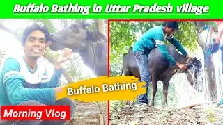 Village Life Morning Vlog || भैंस,  My Buffalo Bathing in Village 🐃 || Village life Style video