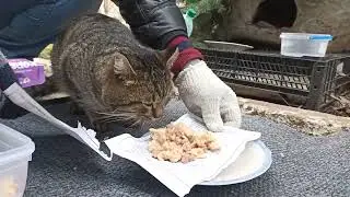 Он Бежал К Нам Покушать / He Ran Straight for Food 🔥