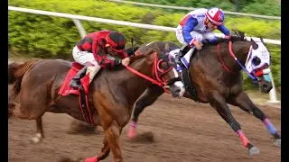 Fresno Hip&oacute;dromo - EL BANDIDO VS EL BORCHAT - 25 DE AGOSTO DE 2024