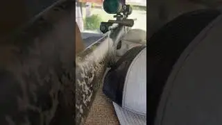 Franchi ￼ momentum .308 a beast of a hunting rifle