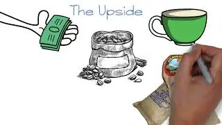Is Jamaica Blue Mountain Coffee Worth the Price?